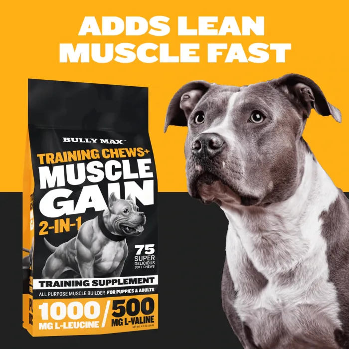 muscle gain chews